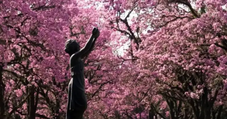 tucuman el jardin de la republica