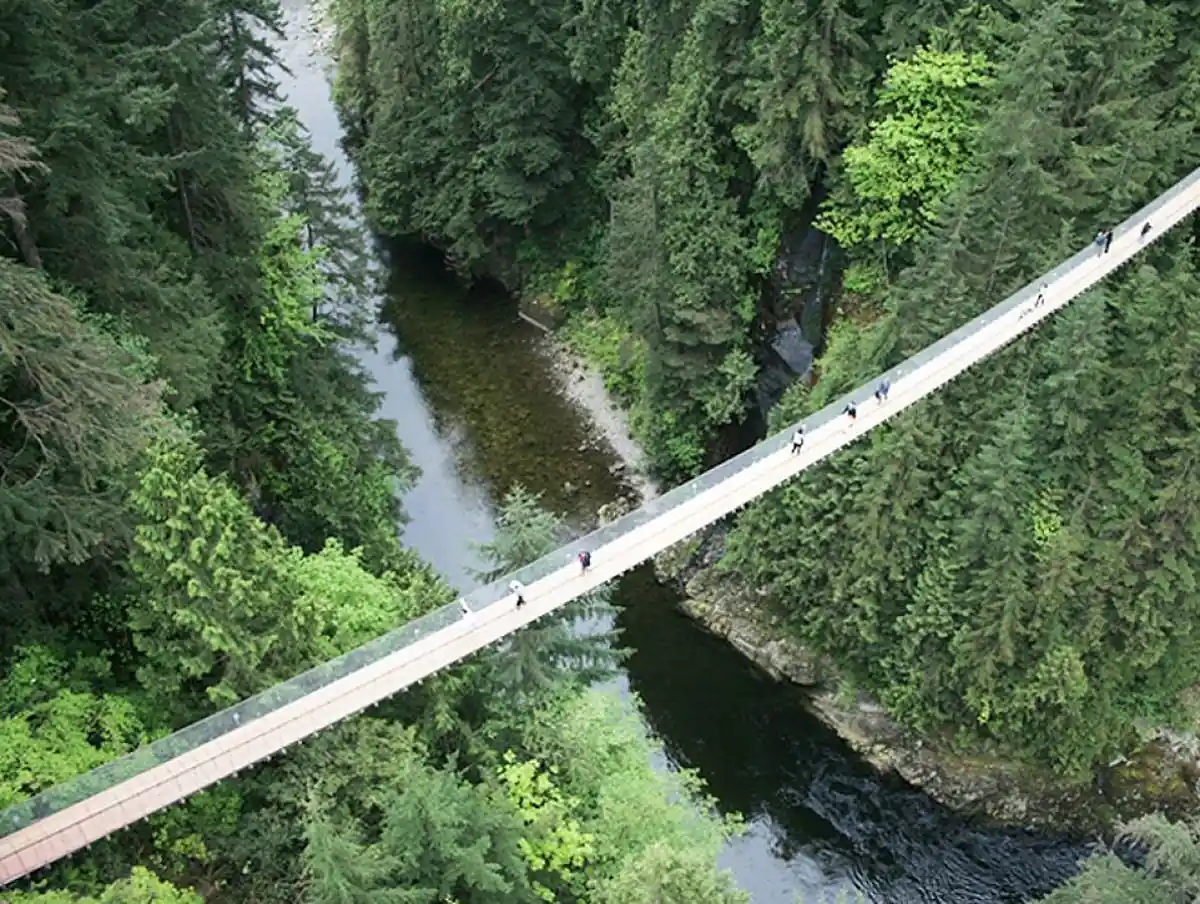 puente capilano