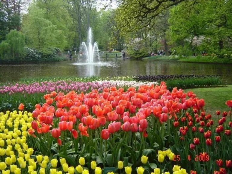 Visitantes caminando junto a un canal rodeado de flores en los jardines de Keukenhof