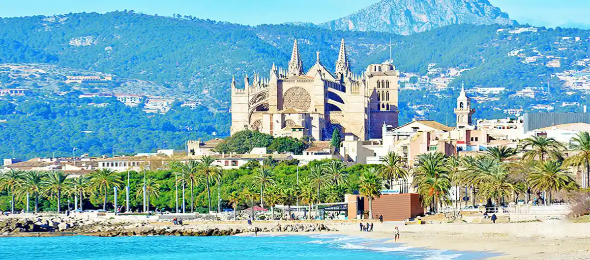 Catedral junto al mar turquesa con palmeras y playas en Palma