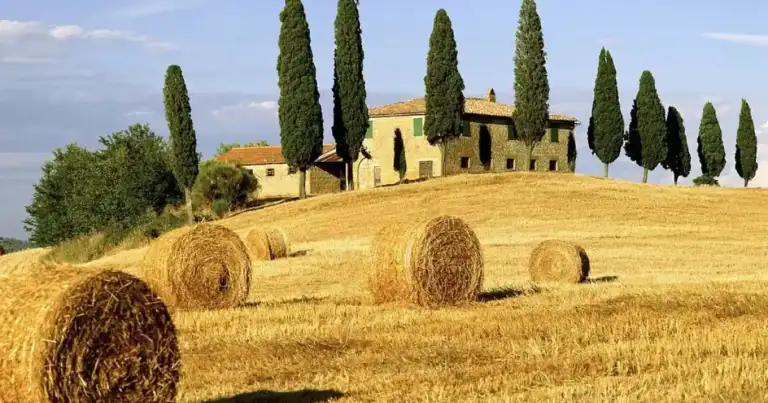 rollos de pasto en la toscana