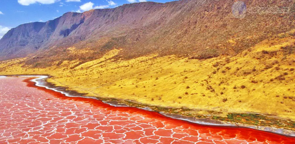 Lago Natron. Tanzania