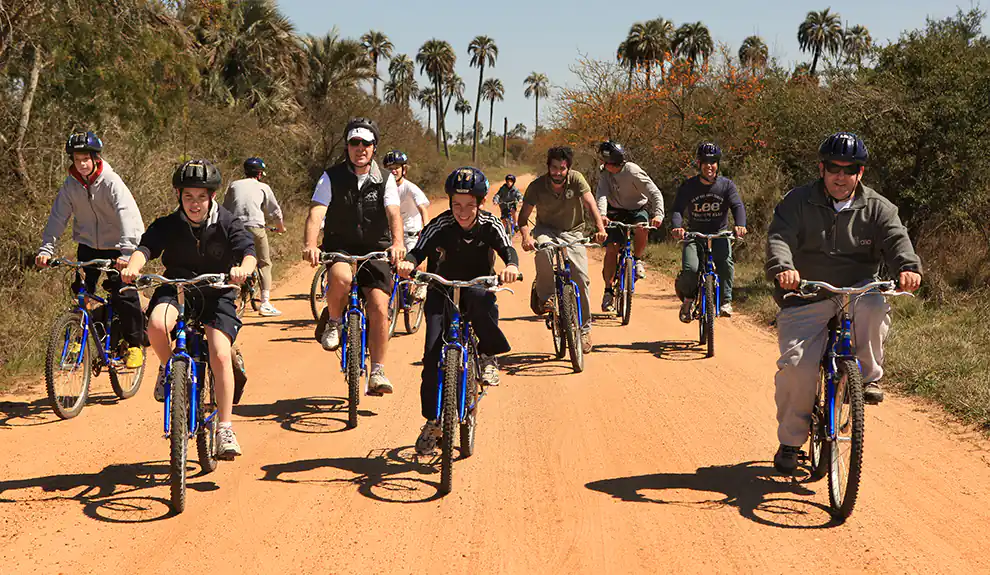 Grupo de ciclistas en camino de tierra arenoso con palmeras