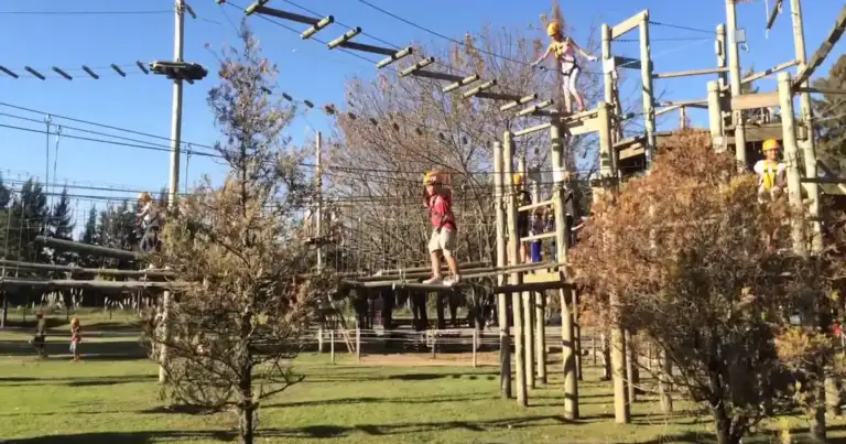 euca tigre un parque con juegos en altura en el que los niños juegan con mucha seguridad