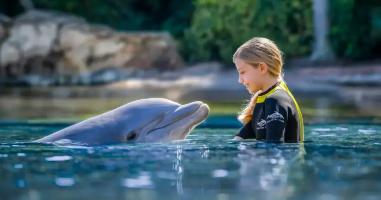 discovery cove orlando 2023