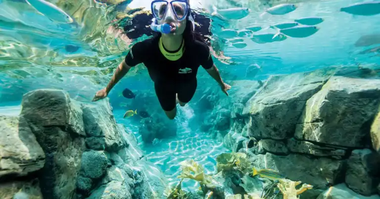 como es el all inclusive discovery cove