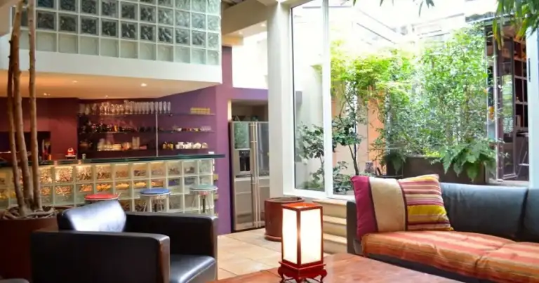 Interior de sala de alojamiento moderno con bar, sofá y plantas decorativas