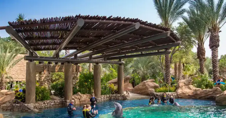 Piscina en parque temático con estructura de palapa y palmeras alrededor