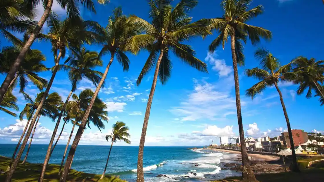 Paradisíacas playas del Nordeste brasilero