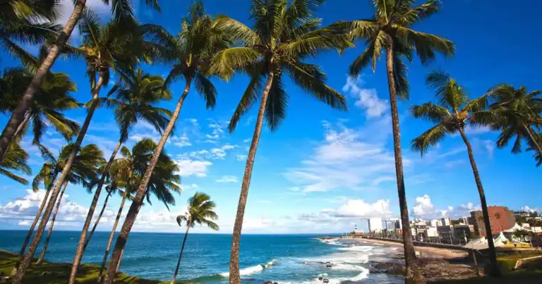 Paradisíacas playas del Nordeste brasilero