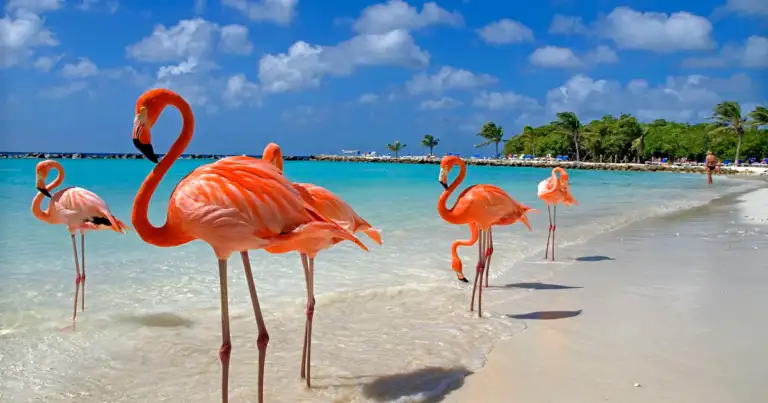 Aruba playas caribeñas