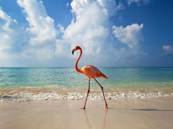 islas del caribe cual es mas grande