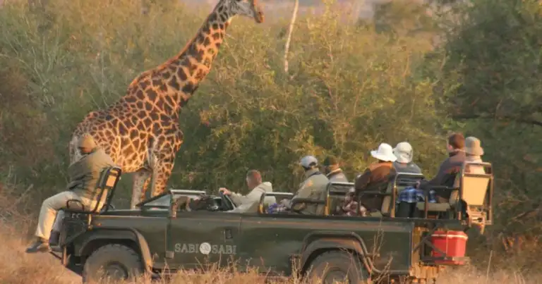 Jirafa junto a vehículo de safari con turistas observando animales en sabana