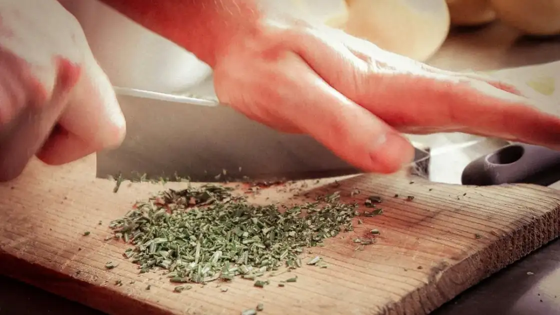 cannabis cocina
