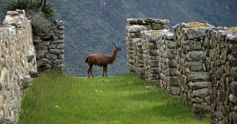 montaña de colores peru