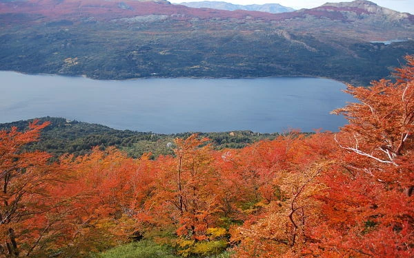 Bosque y lago del Parque Nacional Los Alerces visto desde la subida al cerro La Torta
