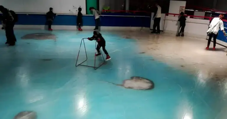Pista de patinaje en hielo con peces congelados en el interior