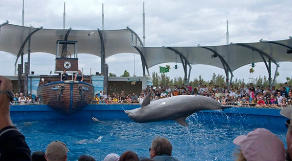 keybiscayne-miami-seaquarium