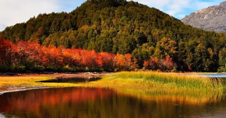 Paisaje otoñal en la Patagonia argentina con bosque y lago reflejando los colores