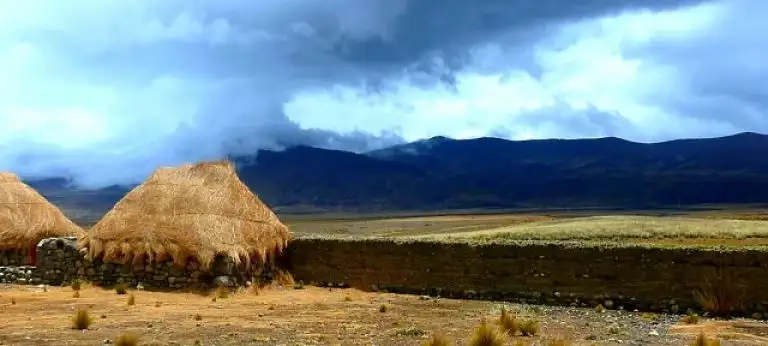 Cerros de la Puna argentina con vegetación baja y montañas distantes