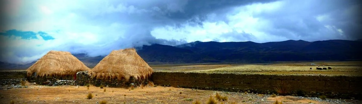 Cerros de la Puna argentina con vegetación baja y montañas distantes