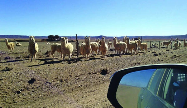 viaje al norte argentino