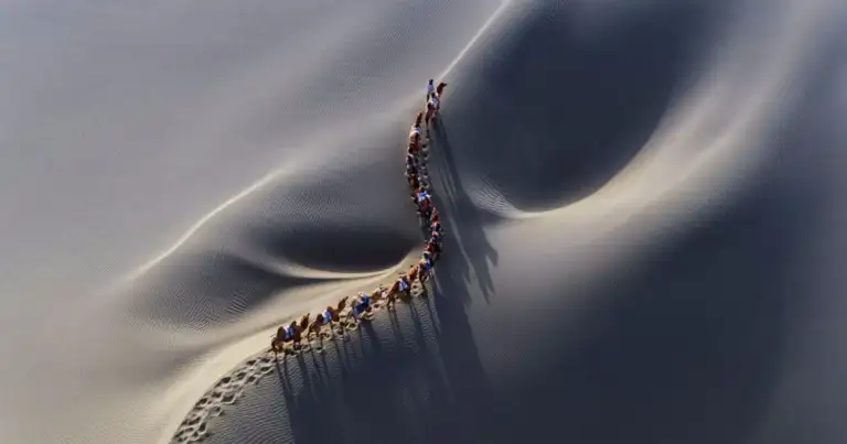 Patrón sinuoso de huella en arena vista desde arriba (foto de drone)