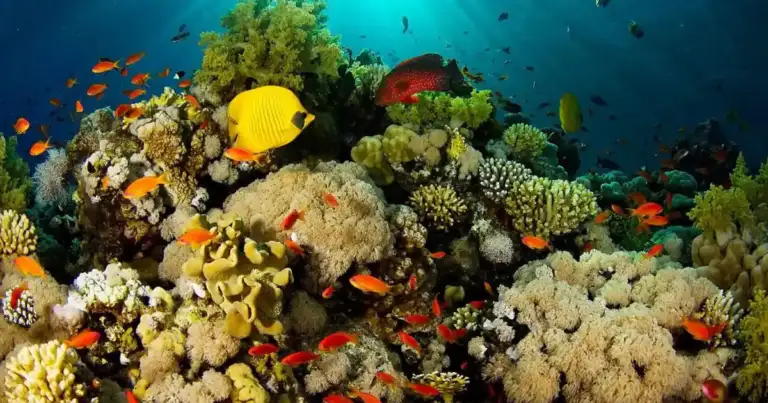 Islas del Caribe: cuál elegir según tus deseos e intereses