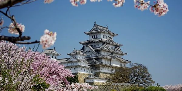 Castillo asiático con flores de cerezo rosa en flor