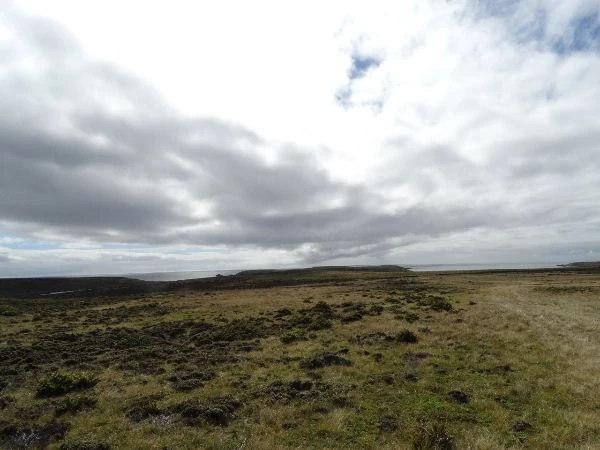 Llanura árida y vasta bajo un cielo nublado, paisaje desolado con vegetación escasa