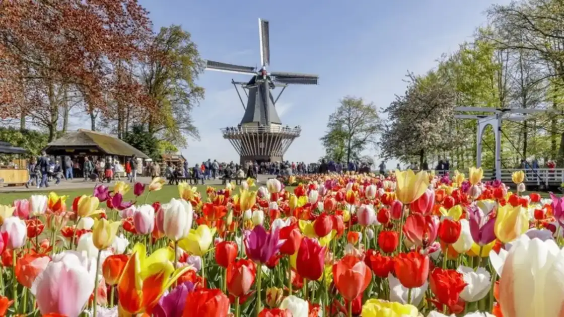 Keukenhof, el Mar de Tulipanes de Holanda