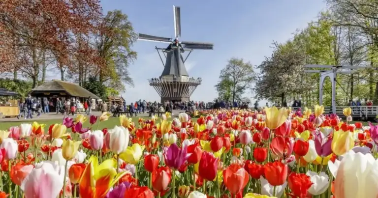 Keukenhof, el Mar de Tulipanes de Holanda