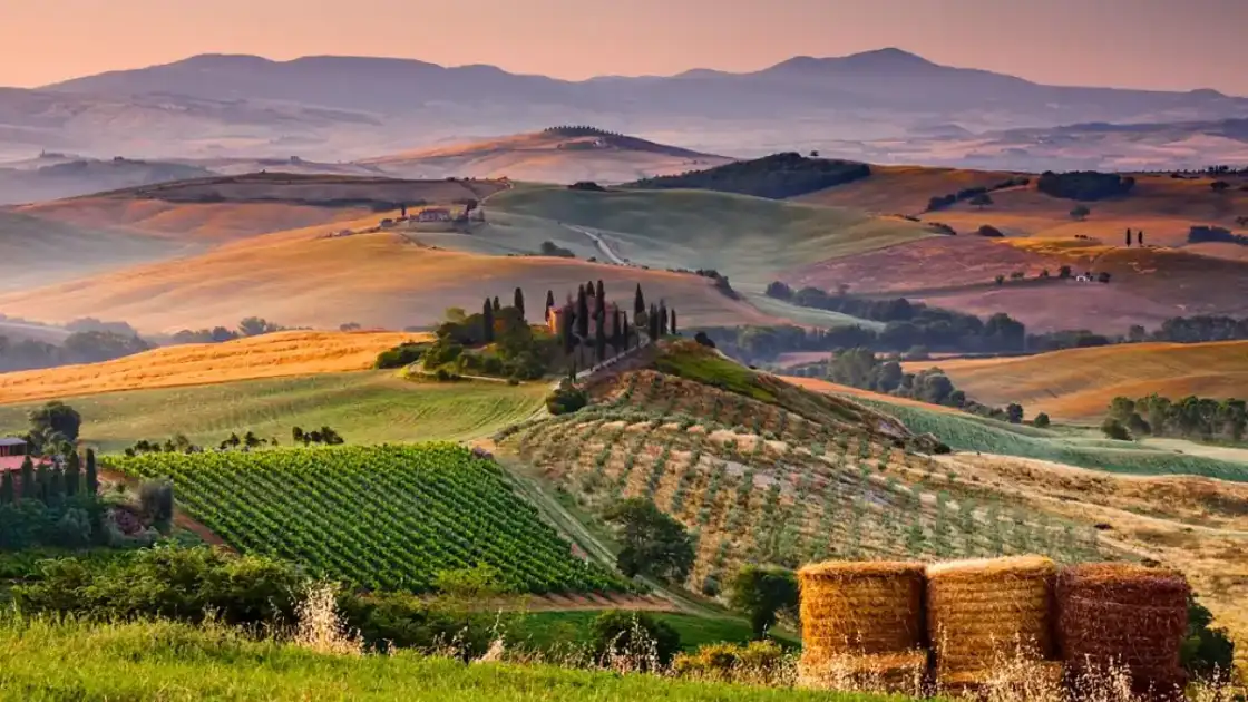 Paisaje de Toscana con viñedos, cipreses y casa de piedra en colinas onduladas