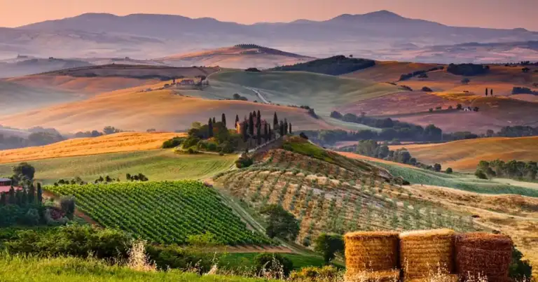 Paisaje de Toscana con viñedos, cipreses y casa de piedra en colinas onduladas