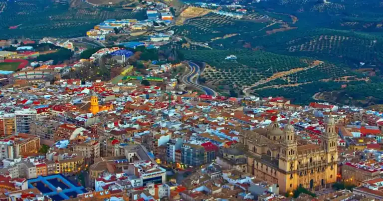 Vista aérea de ciudad con catedral y olivares verdes ondulantes