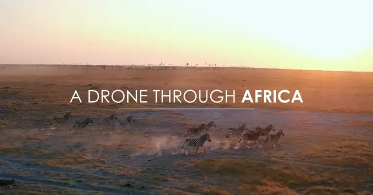 Manada de animales corriendo en la sabana bajo atardecer con texto 'A DRONE THROUGH AFRICA'