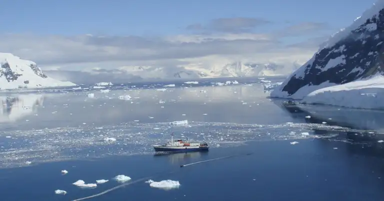 Cruceros a la Antártida