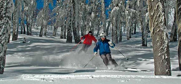 Dos esquiadores en pista nevada entre árboles con montaña al fondo