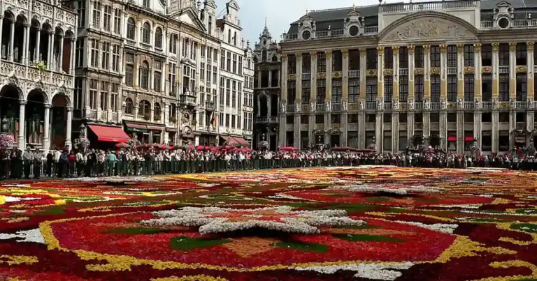 Grand Place de Bruselas, hay una alfombra de flores de todos colores