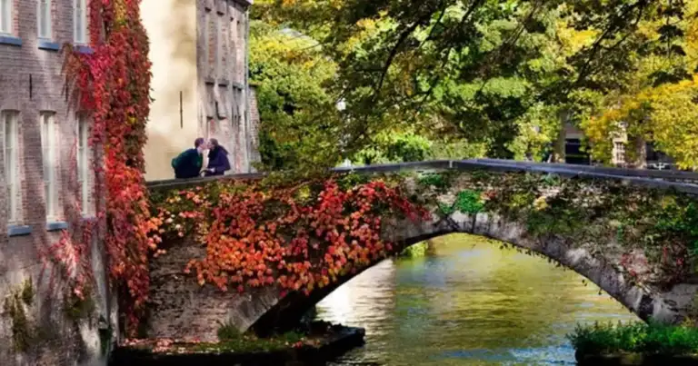 visitar la magica brujas