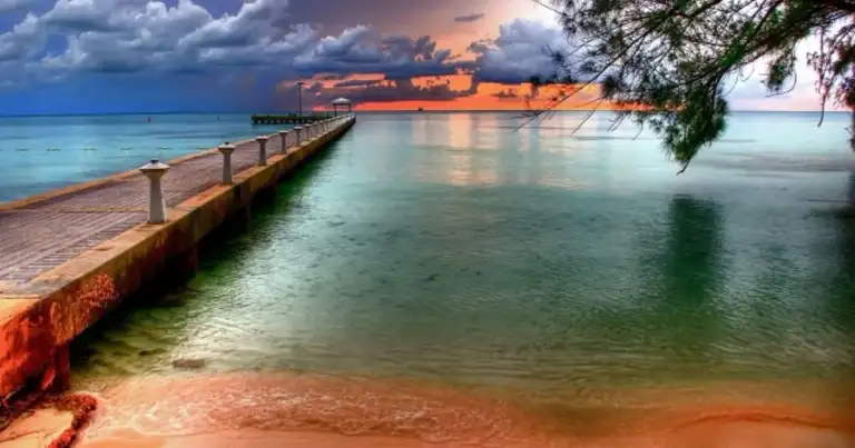 Muelle de madera al atardecer sobre agua turquesa con palmera colgante