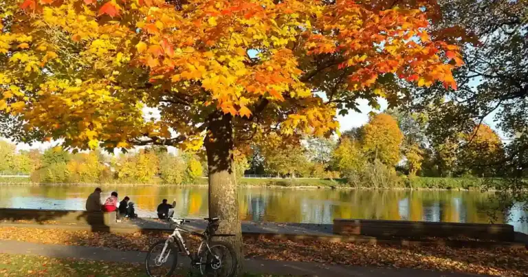 Personas en bicicleta bajo árbol otoñal junto a río