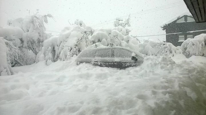 Auto casi enterrado bajo una gruesa capa de nieve junto a árboles cargados de nieve