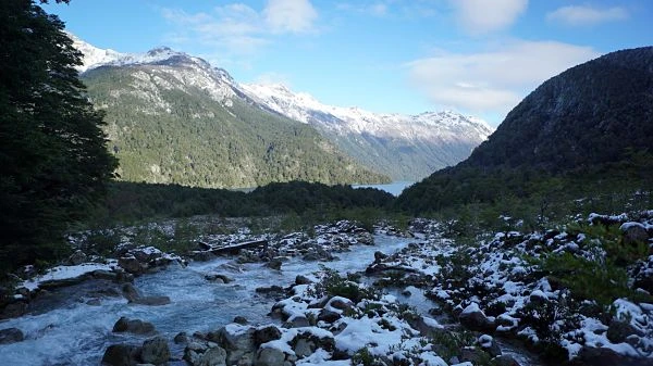 Río de aguas claras con rocas y montañas nevadas al fondo en bosque