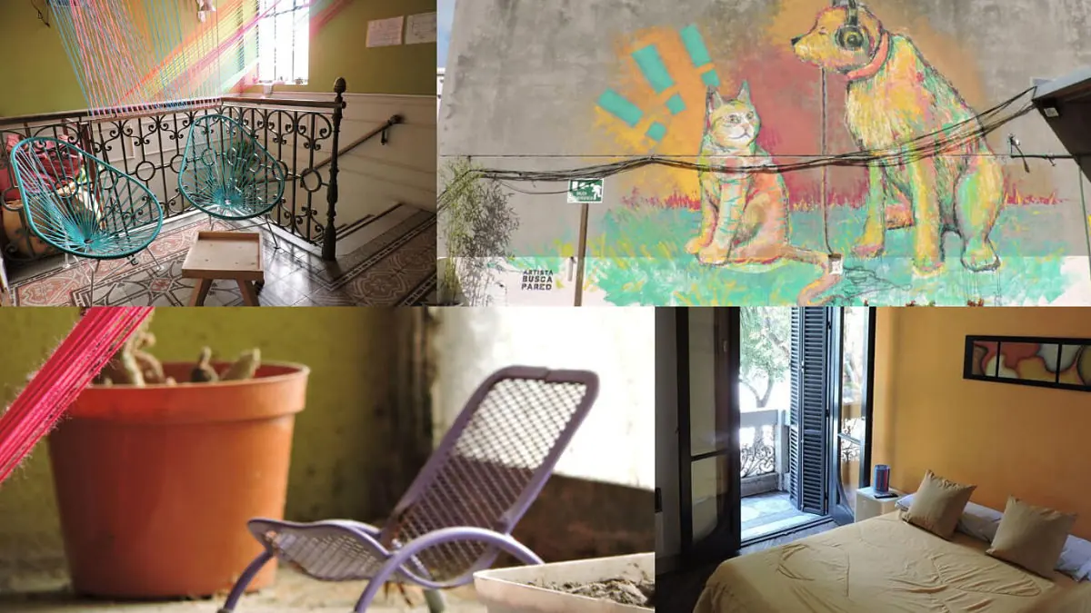 Interior colorido de hostel con plantas y decoración