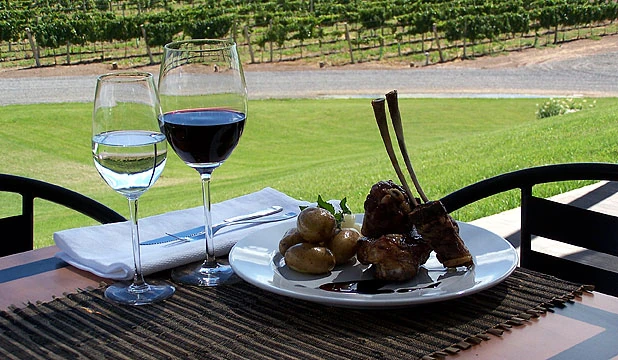 Copas de vino con platos de comida y viña de fondo