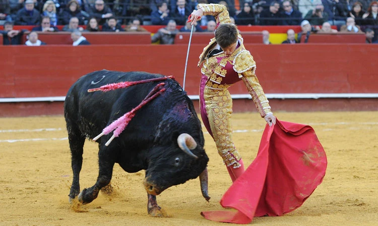 Corrida de toros en España Torero con capote rojo en una plaza de toros durante una corrida
