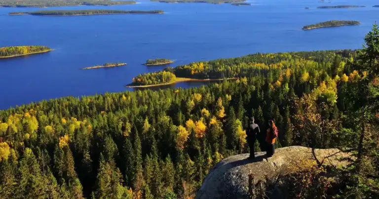 Lagos y archipiélagos boscosos de Finlandia vistos desde arriba