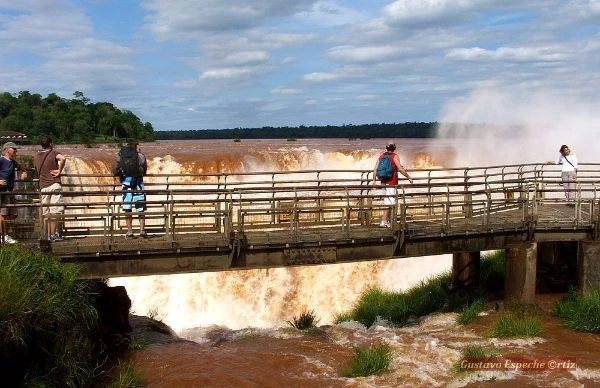 tren iguazu