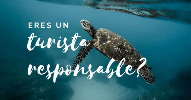 Tortuga marina nadando bajo el agua con texto sobre turismo responsable